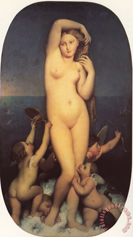 Venus Anadyomene painting - Jean Auguste Dominique Ingres Venus Anadyomene Art Print