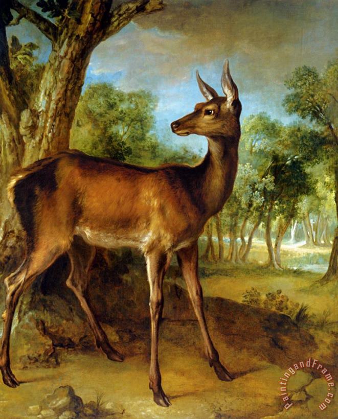 Jean Baptiste Oudry The Watchful Doe Art Painting