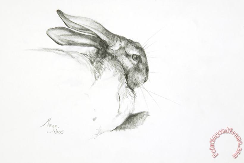 Jeanne Maze Study Of A Rabbit Art Painting