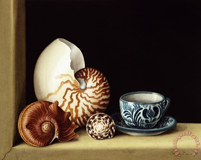 Jenny Barron Still Life With Nautilus Art Print
