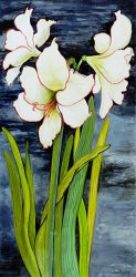 Joan Thewsey Amaryllis Against A Night Sky