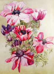 Joan Thewsey Anemones