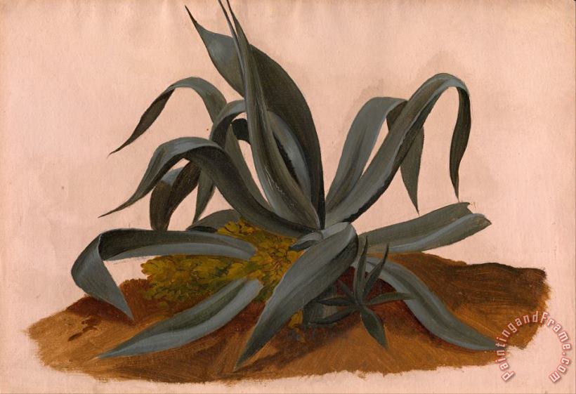 Johan Christian Dahl Study of an Agave Art Painting