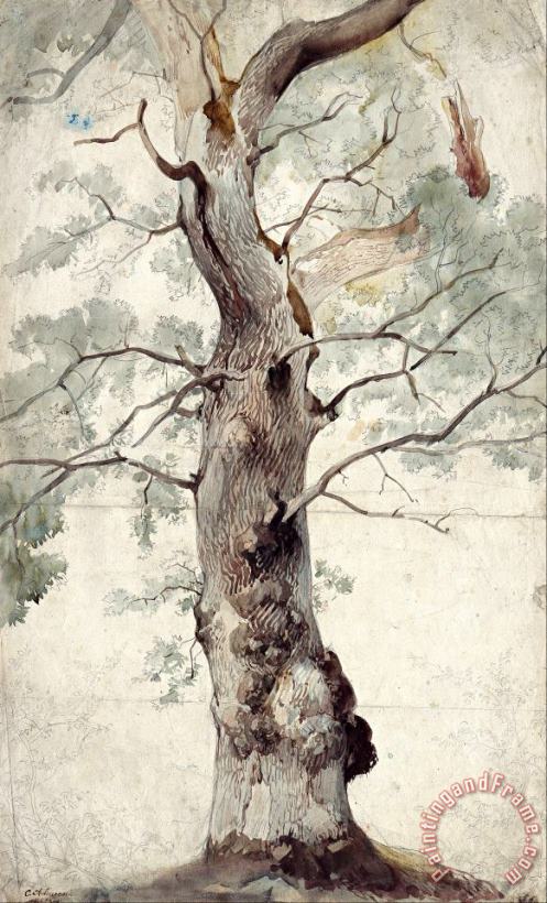 Johann Caspar Nepomuk Scheuren Study of a Tree Art Painting