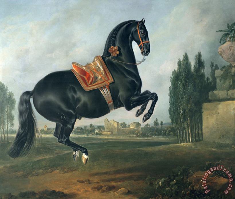 Johann Georg Hamilton A black horse performing the Courbette Art Print
