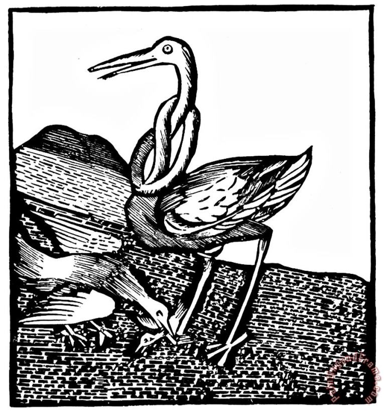Stork Wood Engraving painting - Johannes de Cuba Stork Wood Engraving Art Print