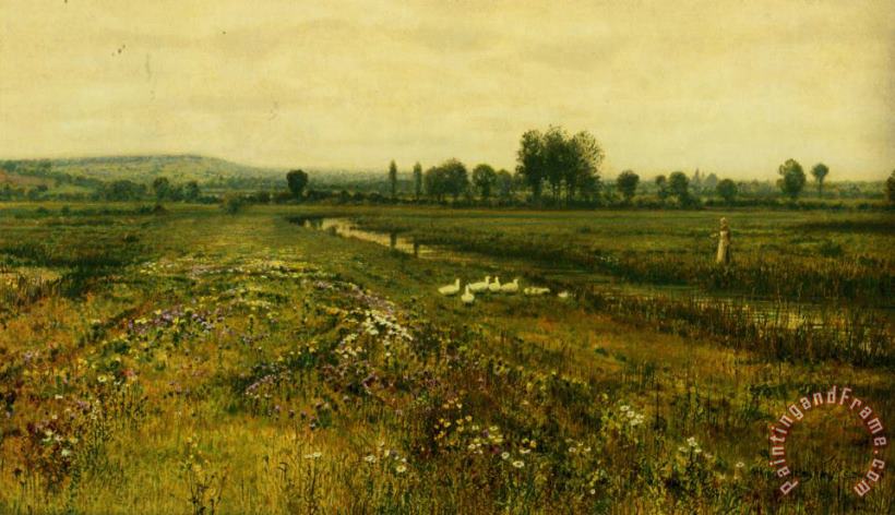 An Extensive Meadow Landscape with Geese by a Stream painting - John Atkinson Grimshaw An Extensive Meadow Landscape with Geese by a Stream Art Print