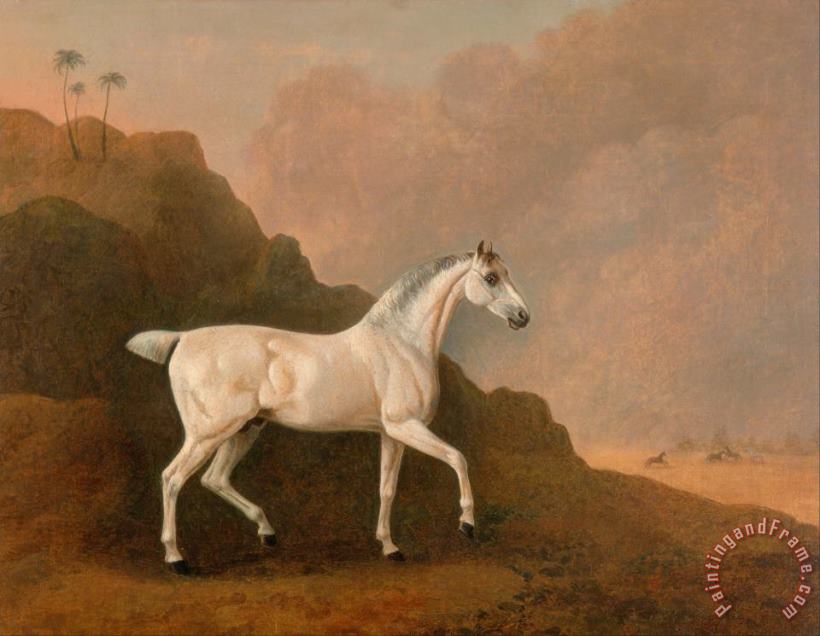 John Boultbee A Grey Arab Stallion in a Desert Landscape Art Painting