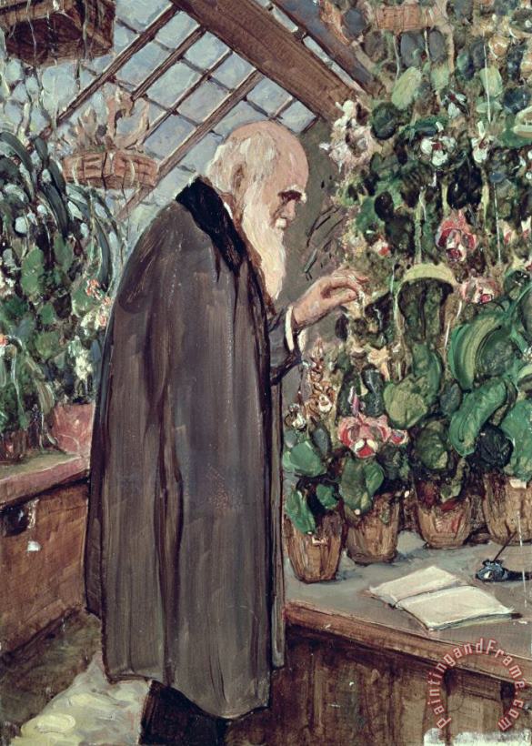 Charles Robert Darwin painting - John Collier Charles Robert Darwin Art Print