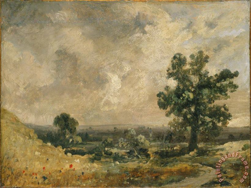 John Constable Petunias Art Painting