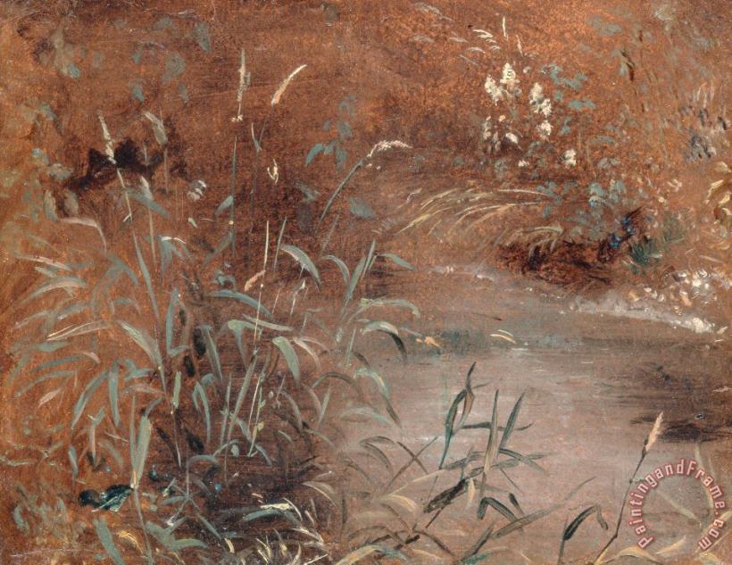 John Constable Rushes by a Pool Art Painting