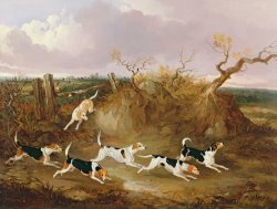John Dalby Beagles in Full Cry