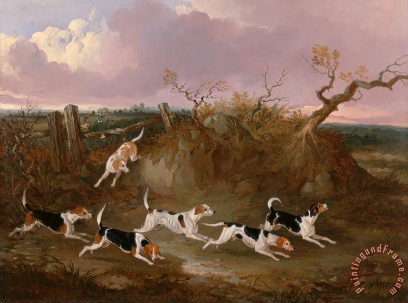Beagles in Full Cry painting - John Dalby Beagles in Full Cry Art Print