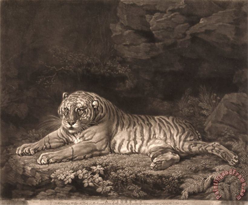 A Tigress painting - John Dixon A Tigress Art Print