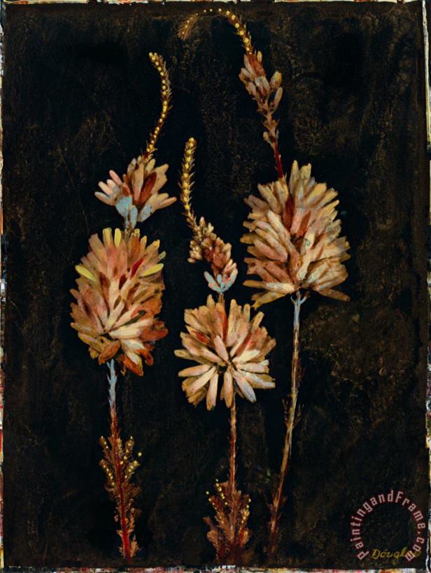 John Douglas Floral Negative Iv Art Painting