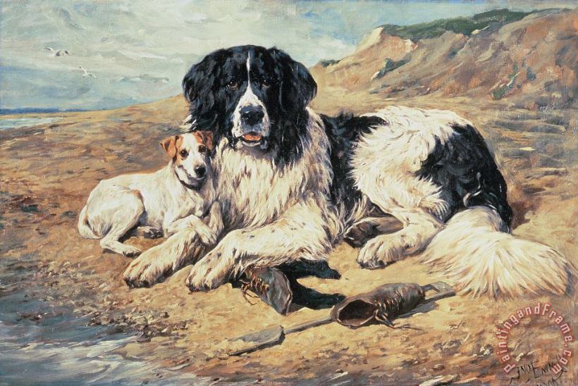 Dogs Watching Bathers painting - John Emms Dogs Watching Bathers Art Print