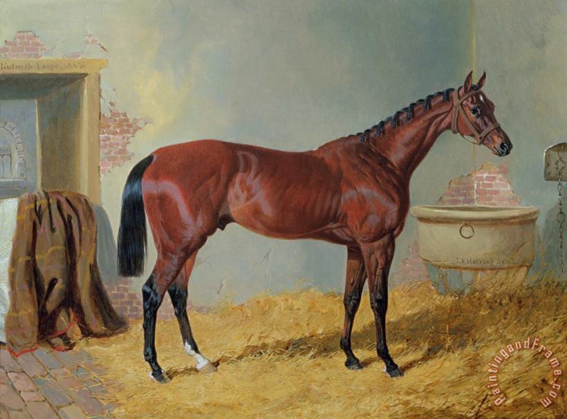 John Frederick Herring Snr Horse in a Stable Art Print
