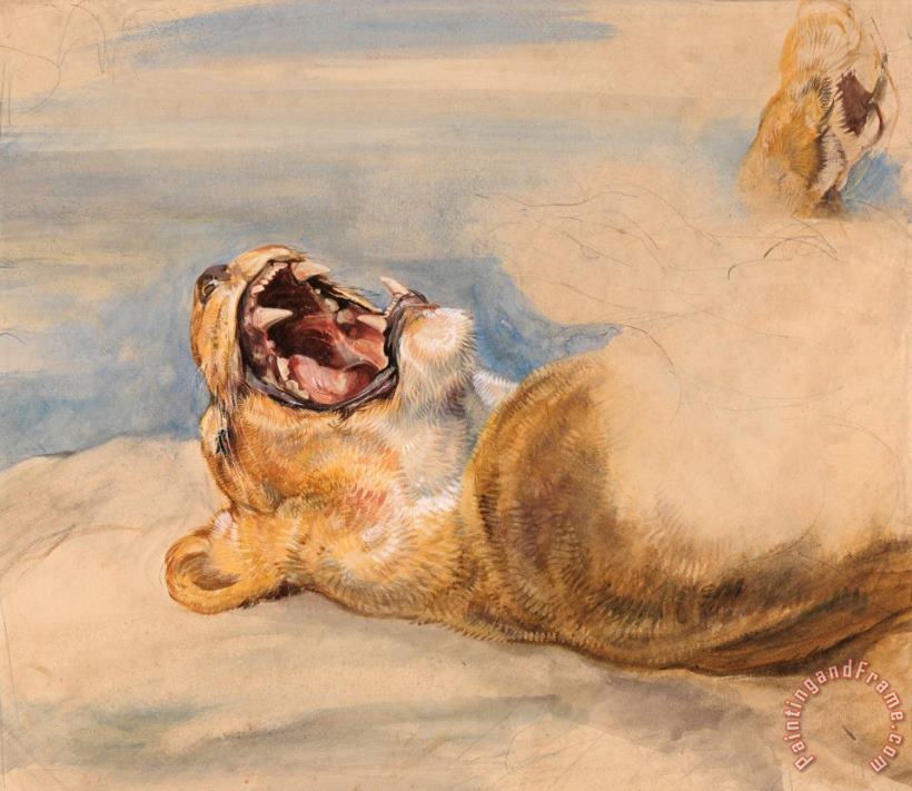 John Frederick Lewis Study of a Lioness Art Print