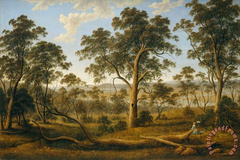 Launceston And The River Tamar painting - John Glover Launceston And The River Tamar Art Print