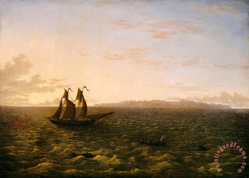 The Island of Madeira painting - John Glover The Island of Madeira Art Print