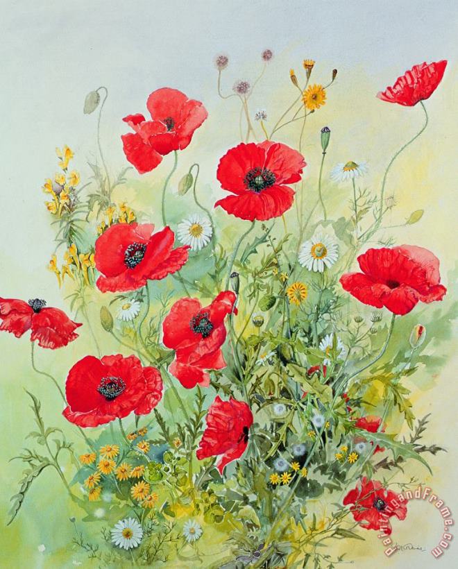 John Gubbins Poppies and Mayweed Art Painting