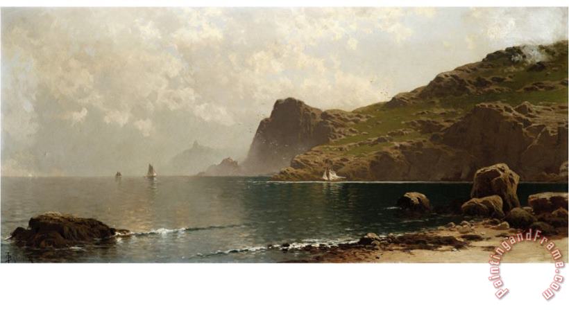 John James Audubon Mist Rising Off The Coast Art Print