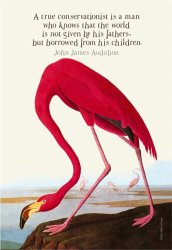 John James Audubon True Conservationist