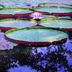 John Lautermilch Afternoon Highlights