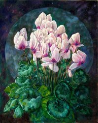 John Lautermilch Cyclamen in Orbit