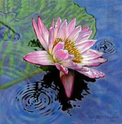 John Lautermilch End of Summer Shower