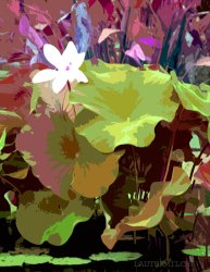 John Lautermilch Lotus Design