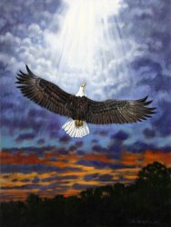 John Lautermilch On Eagles Wings