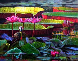 John Lautermilch Patterns of Color and Light