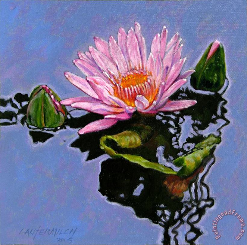 Pink Lily with Dancing Reflections painting - John Lautermilch Pink Lily with Dancing Reflections Art Print