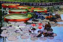 John Lautermilch Quiet Moments