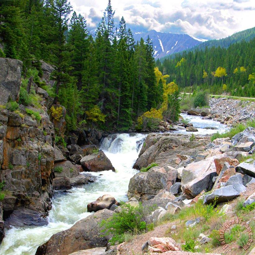 Rocky Mountain Stream painting - John Lautermilch Rocky Mountain Stream Art Print