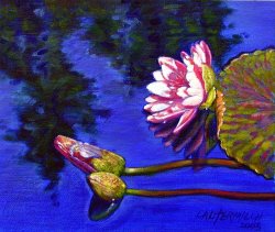 John Lautermilch Sunlight on Pink