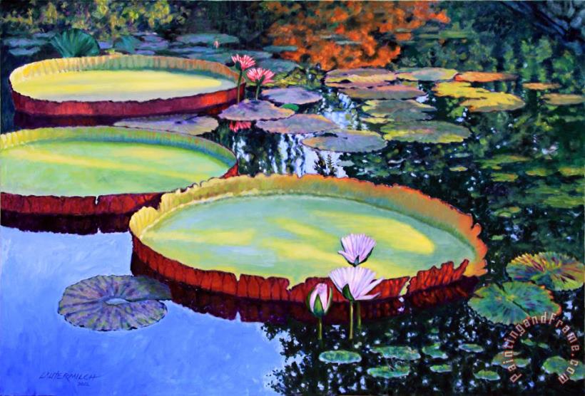 Sunspots on Lily Pond painting - John Lautermilch Sunspots on Lily Pond Art Print