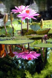 John Lautermilch Two Worlds