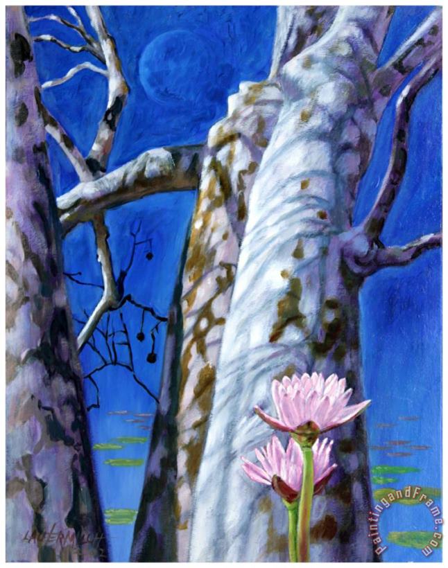 Water Lilies and Sycamores painting - John Lautermilch Water Lilies and Sycamores Art Print