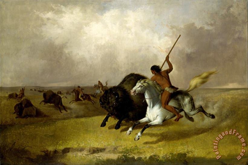 Buffalo Hunt on The Southwestern Prairies painting - John Mix Stanley Buffalo Hunt on The Southwestern Prairies Art Print
