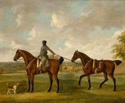 John Nost Sartorius A Groom with Two Bay Hunters, with a Hound, in a Landscape