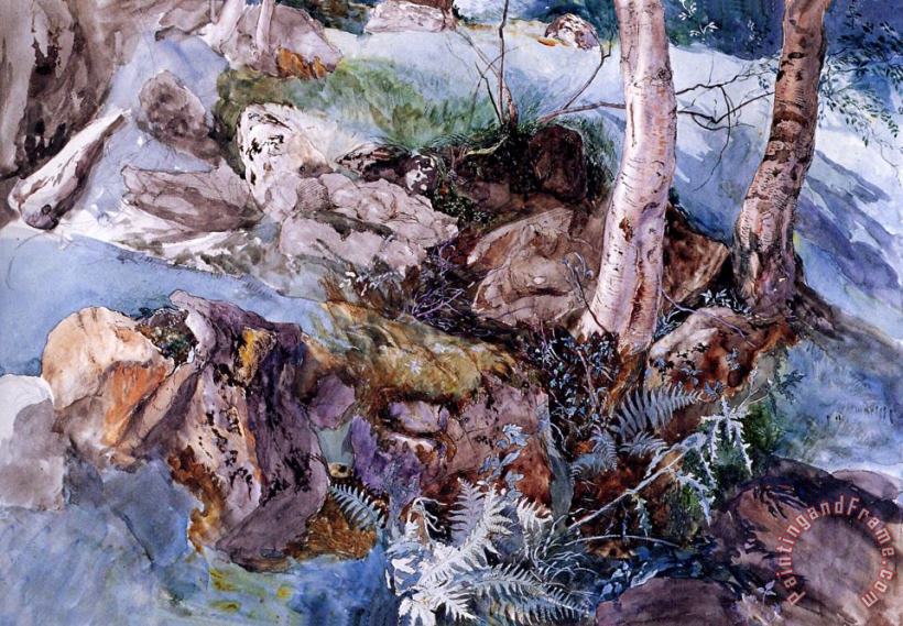 John Ruskin Study of The Rocks And Ferns, Crossmouth Art Print