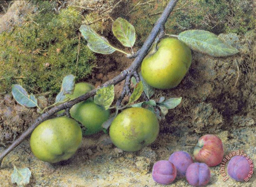 Apples and Plums on a Mossy Bank painting - John Sherrin Apples and Plums on a Mossy Bank Art Print