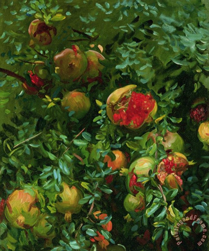 John Singer Sargent Pomegranates Majorca Art Painting