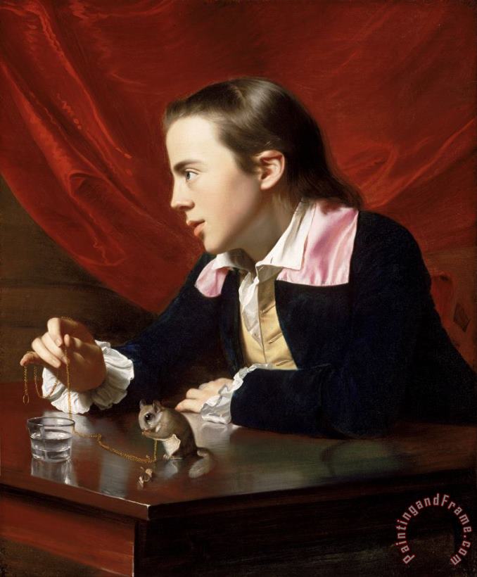 A Boy with a Flying Squirrel (henry Pelham) painting - John Singleton Copley A Boy with a Flying Squirrel (henry Pelham) Art Print