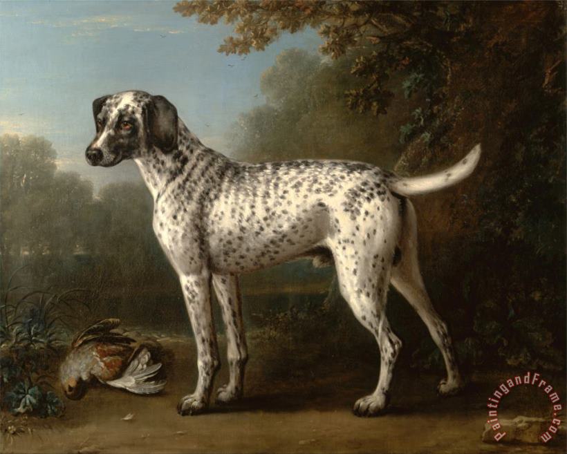 A Grey Spotted Hound painting - John Wootton A Grey Spotted Hound Art Print