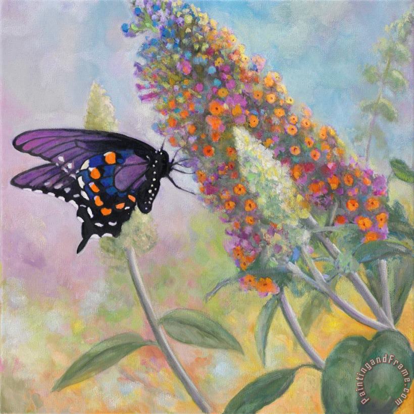Admiral Butterfly painting - John Zaccheo Admiral Butterfly Art Print