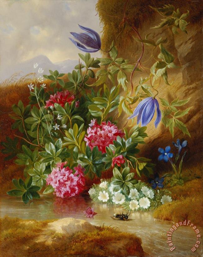 Josef Schuster Alpenblum Art Painting