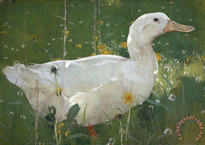 Joseph Crawhall The White Drake Art Painting